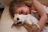ENFANT ET CHIEN 528
